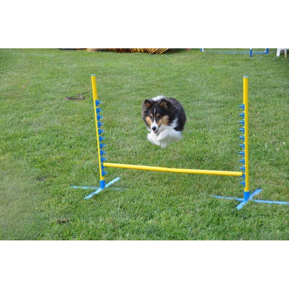 Dog Training Pedestal Jump P4504