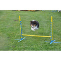 Dog Training Pedestal Jump P4504