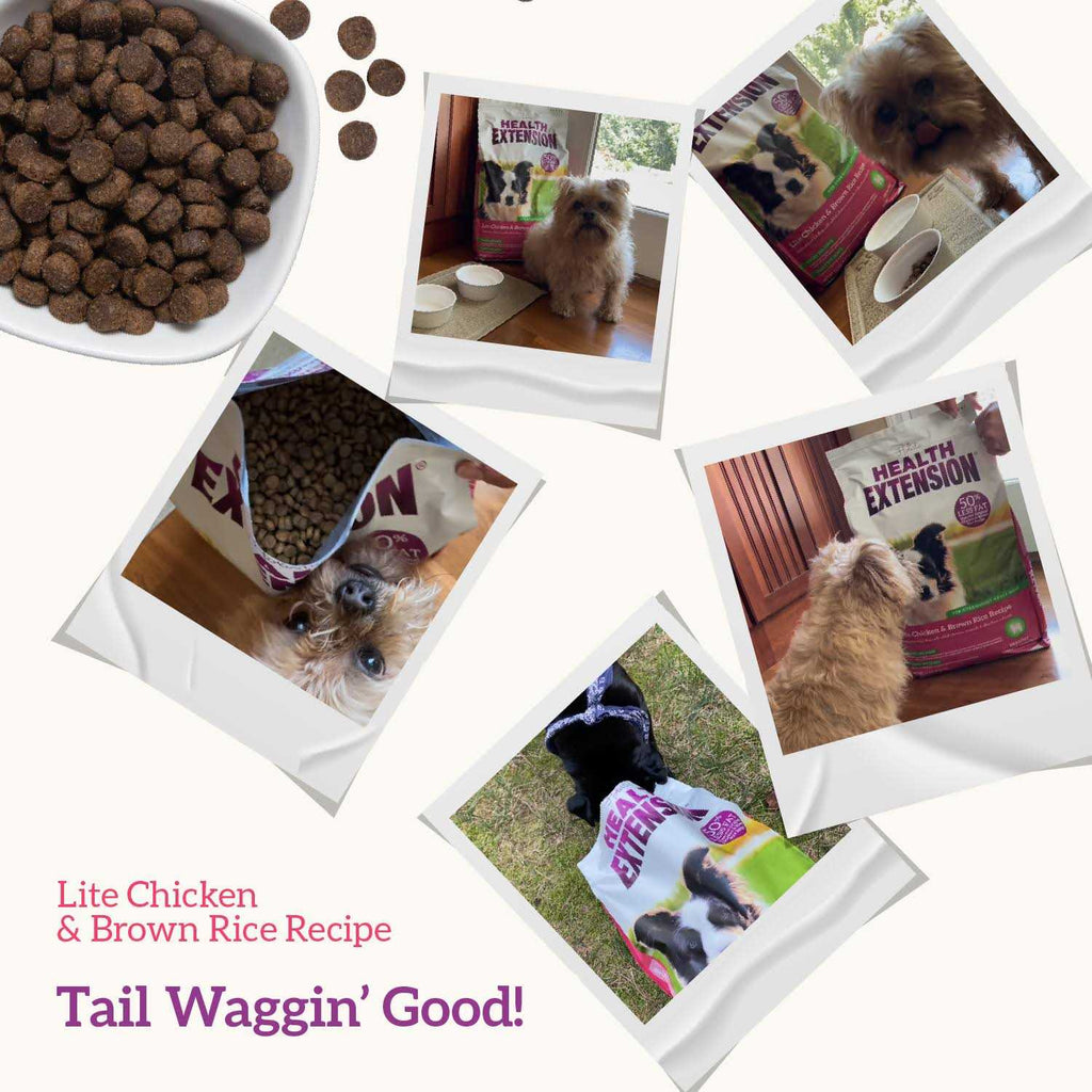 Chicken & Brown Rice Dry Dog Food D93448