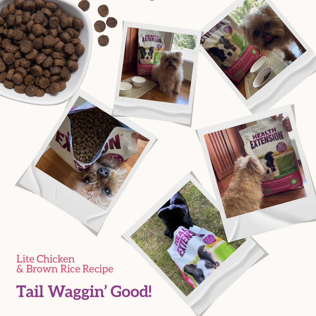 Chicken & Brown Rice Dry Dog Food D93448