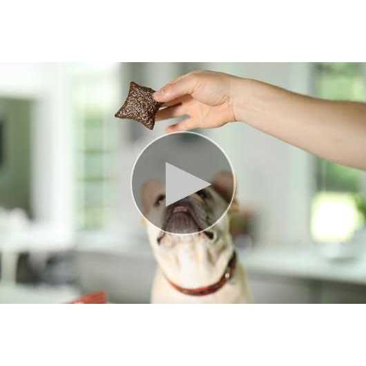 Liver Meat Bites Pet Supplies T588