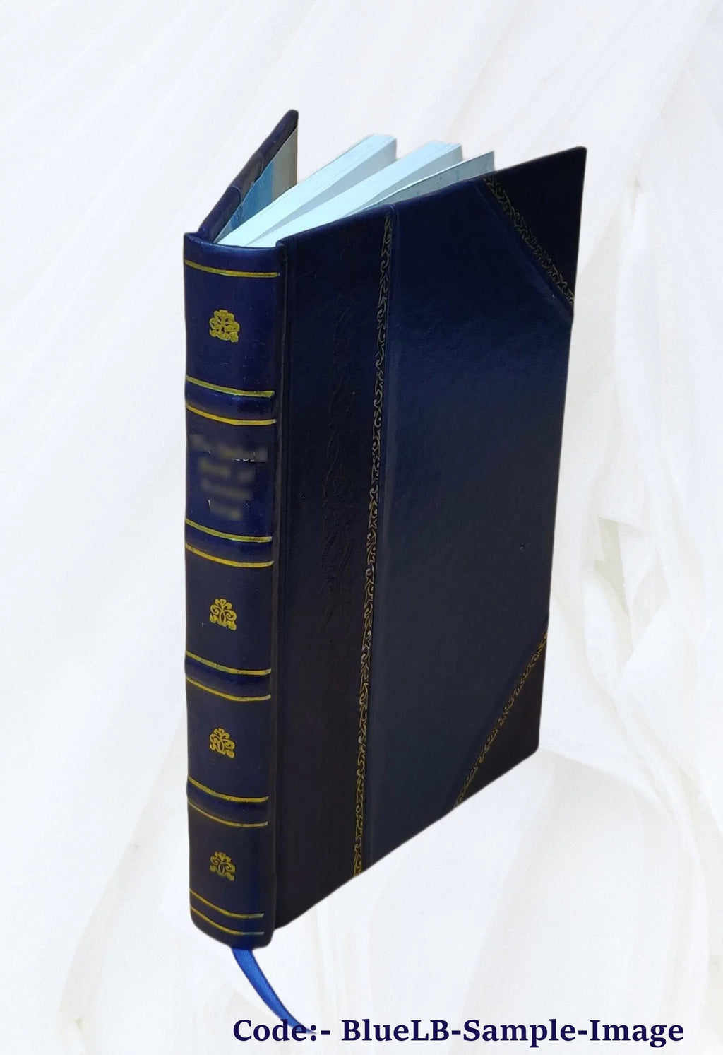 1905 Radioactivity and Electronics Leather Bound W111651
