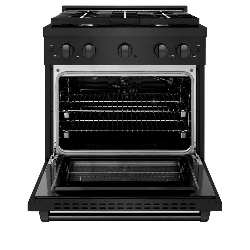 4 Burner Freestanding Gas Range & Convection Gas Oven in Black Stainless Steel X6019