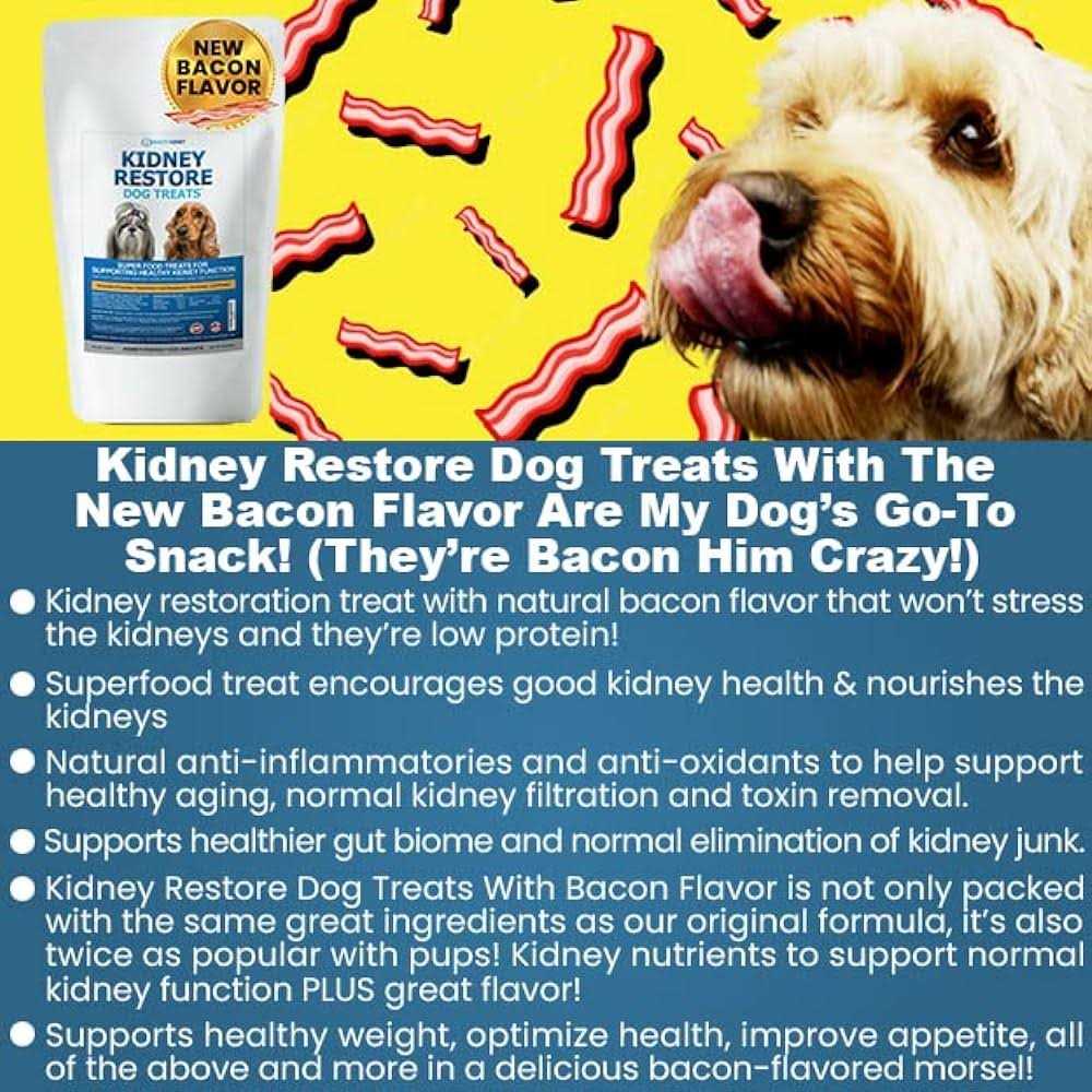 Low Protein Dog Treats for Kidney Support T70660