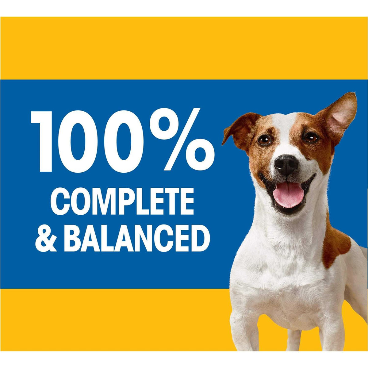 Small Adult Dry Dog Food H26154
