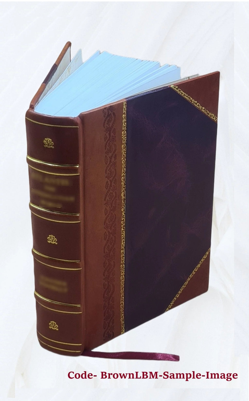 1920 Census Population Schedules Illinois Leather Bound N62949