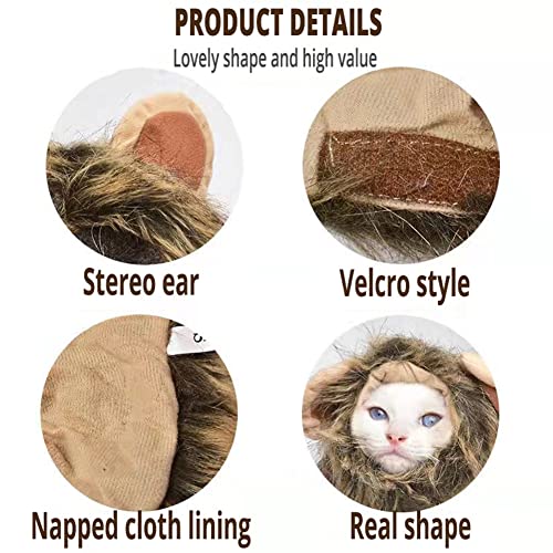 Brown Cat Wig Y3204