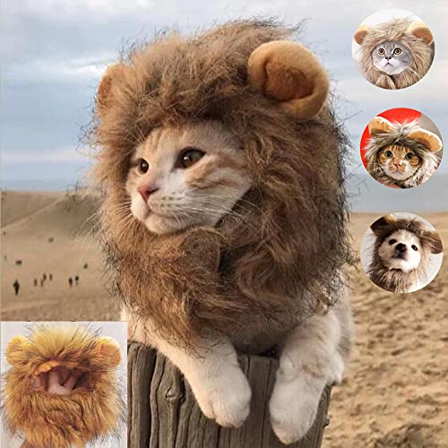 Brown Cat Wig Y3204