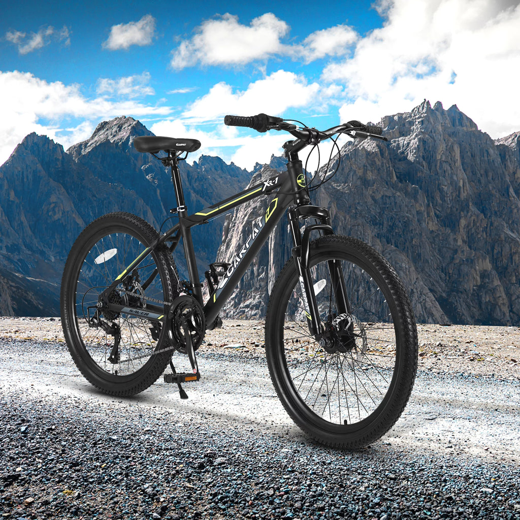 24 inch Kids Mountain Bike with Disc Brakes 21 Speed D2132