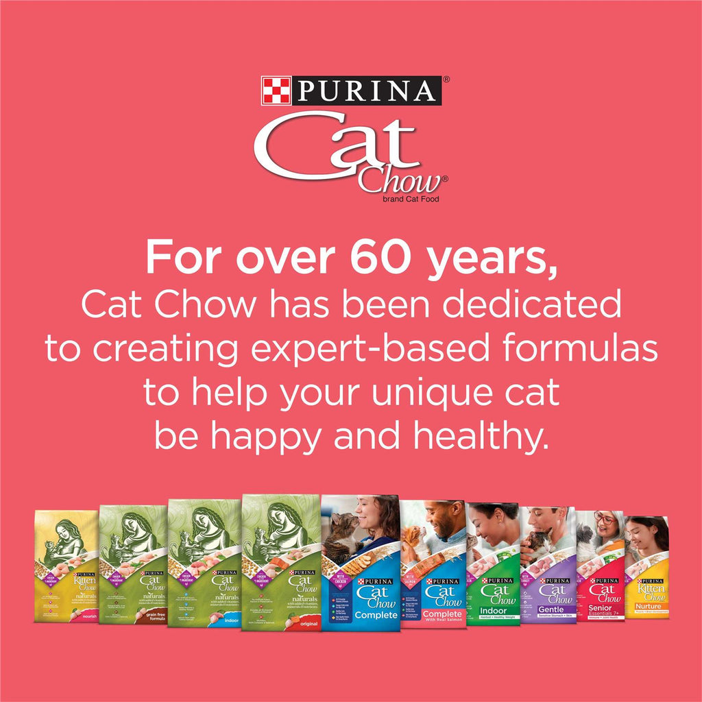 Salmon High Protein Dry Cat Food Q271