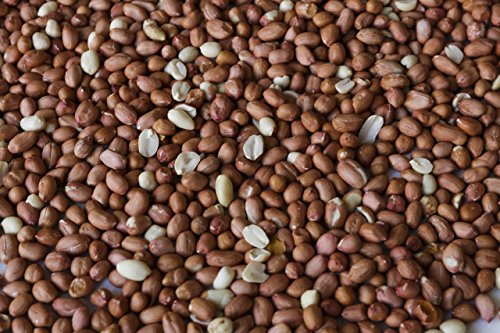 Shelled Peanuts 45LB Bag B65067
