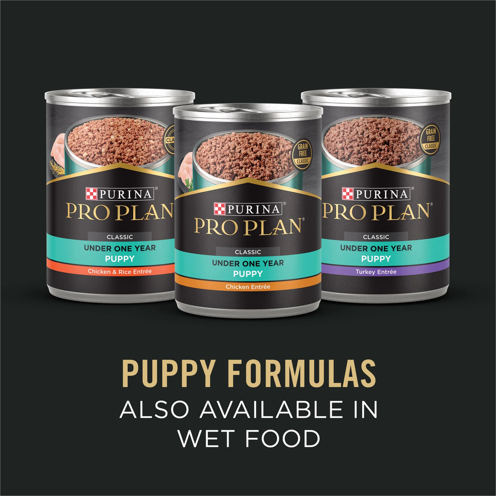Sensitive Skin and Stomach Puppy Food Lamb and Oat Meal 24 lb. Bag X44337