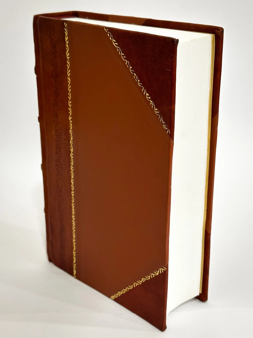 In Omnes Epistolas Quadragesimales Homiliae Leather Bound N1290