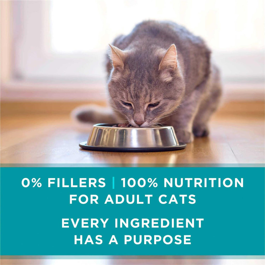 Wet Cat Food F1781