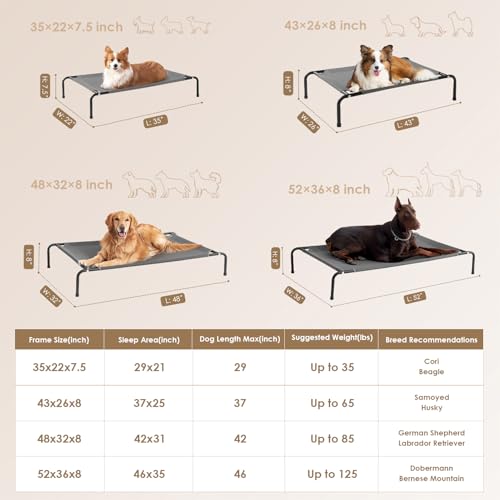 Elevated Dog Cot Bed with Washable Mesh N369694