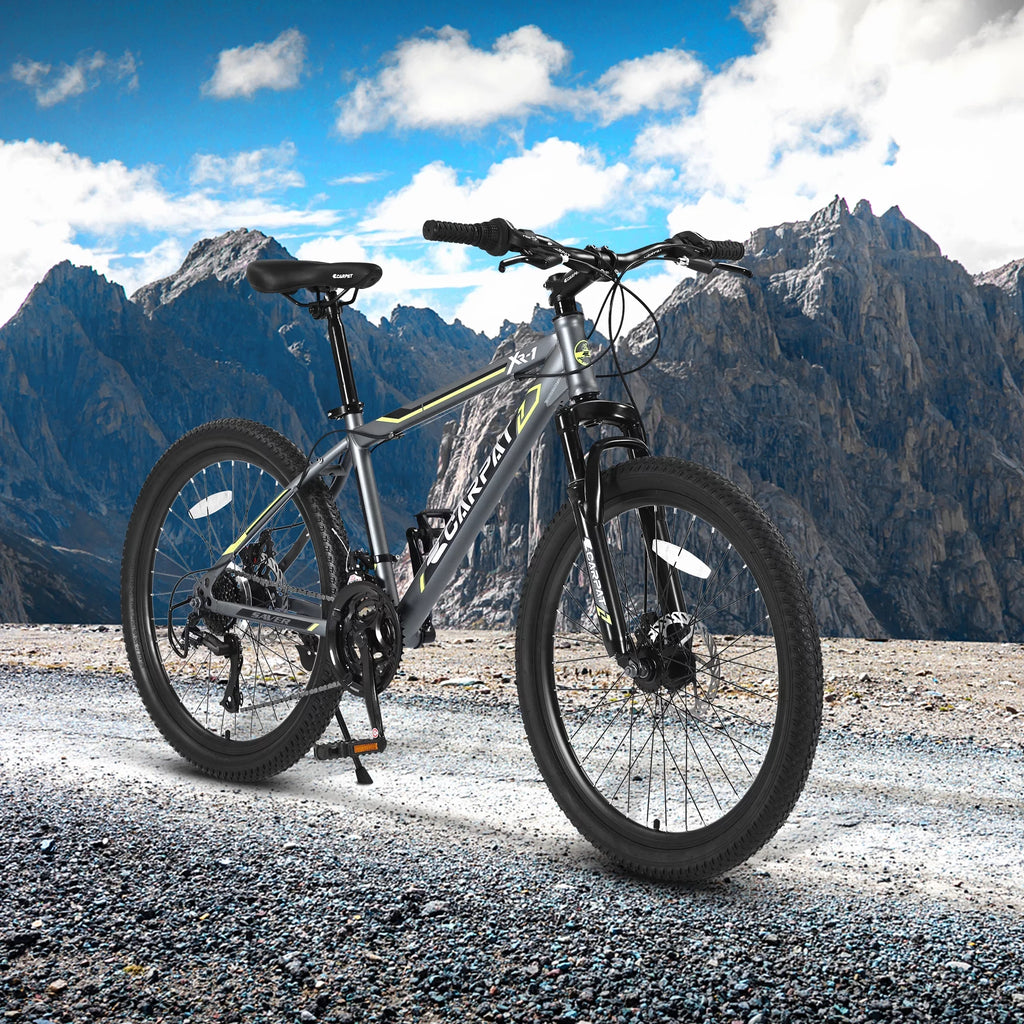 24 inch Kids Mountain Bike with Disc Brakes 21 Speed D2132