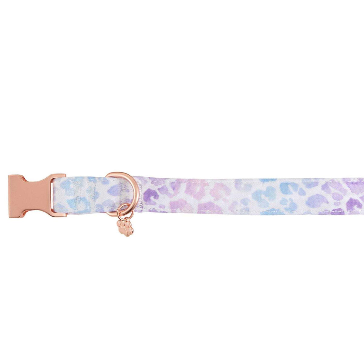 Purple Neoprene Dog Collar A84597