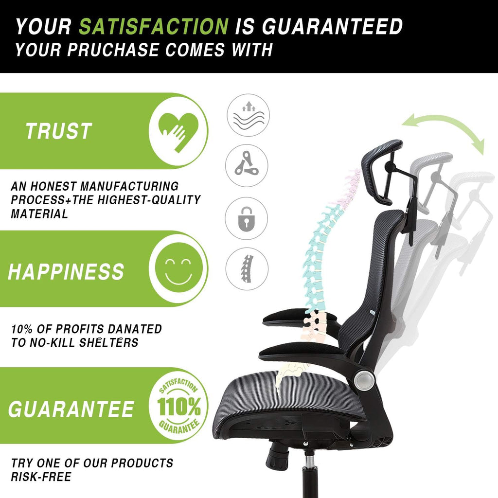 Black Ergonomic Mesh Office Chair with Lumbar Support T61966