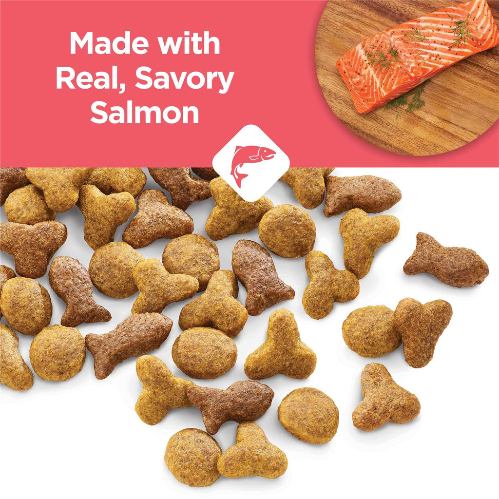 Salmon High Protein Dry Cat Food Q271