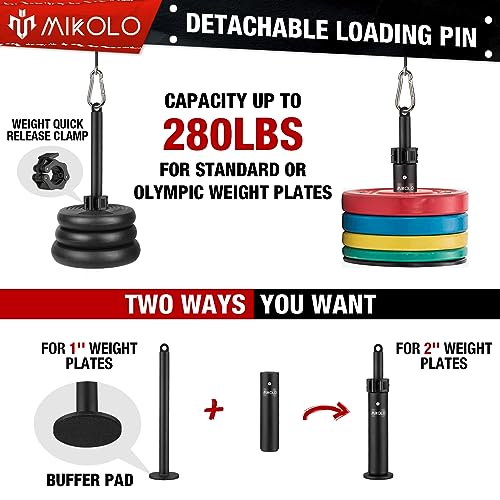 Fitness LAT and Lift Pulley System T384