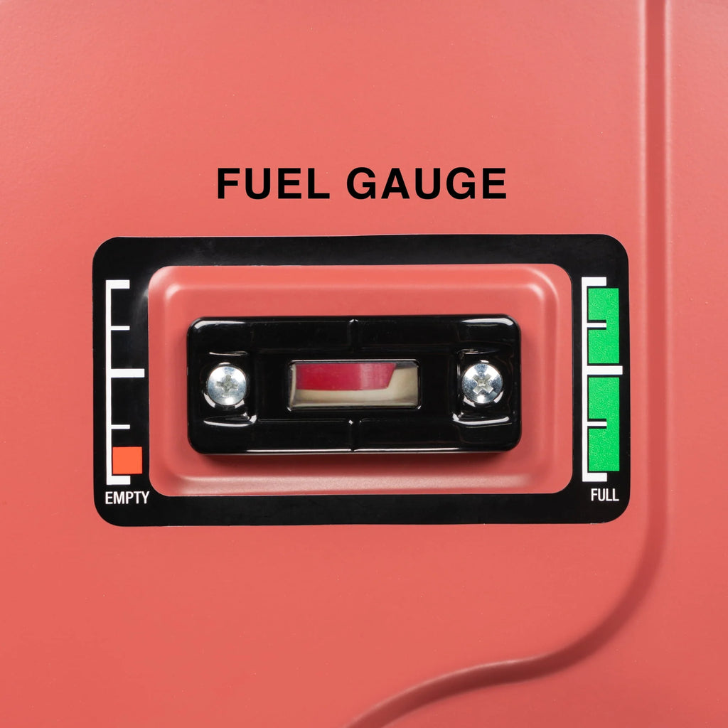 4400 Watt Dual Fuel Portable Generator with Electric Start S810