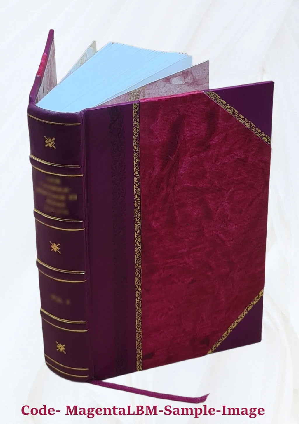1920 Census Population Schedules Illinois Leather Bound N62949
