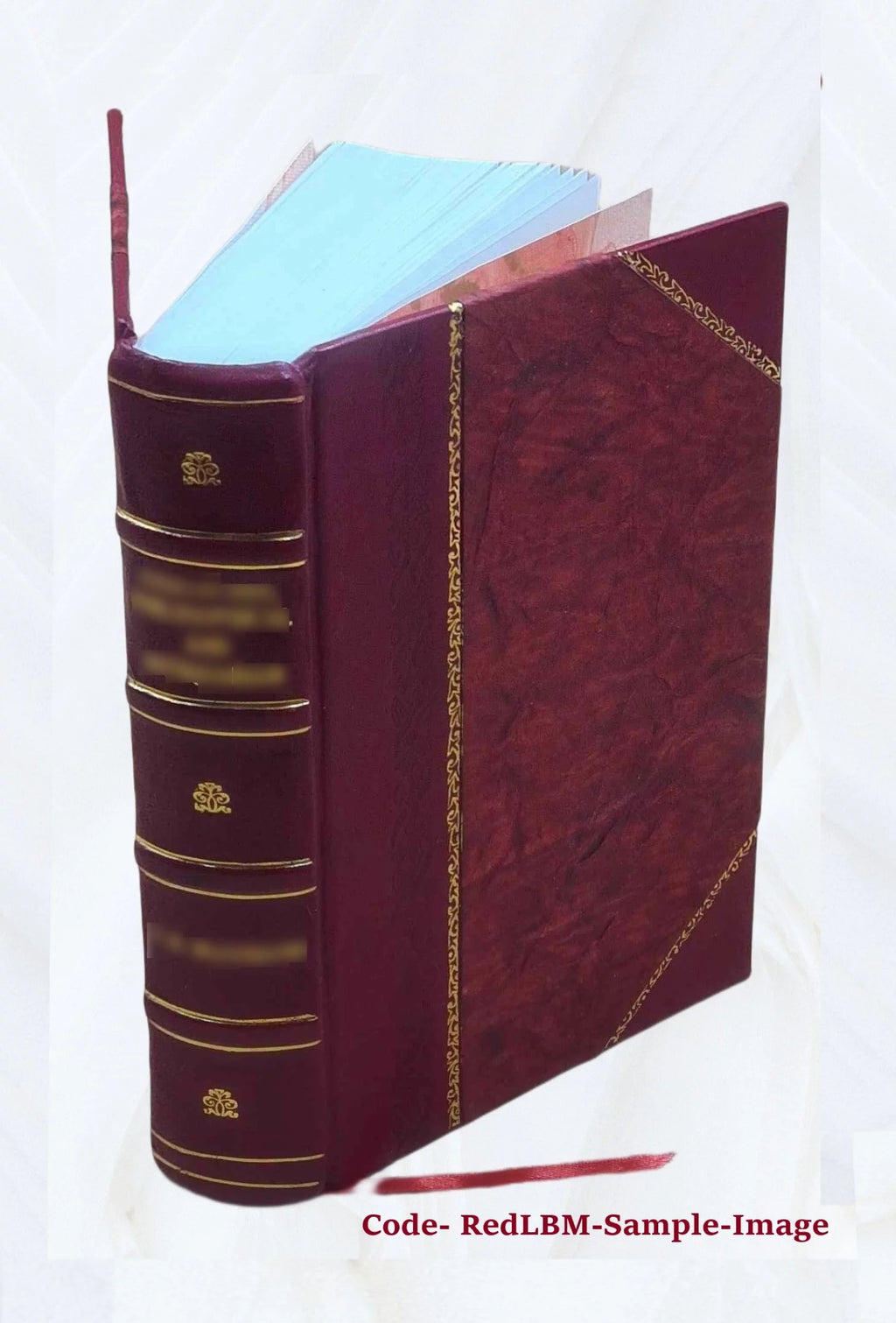 1920 Census Population Schedules Illinois Leather Bound N62949