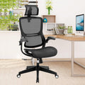 Black Ergonomic Mesh Office Chair with Lumbar Support T61966