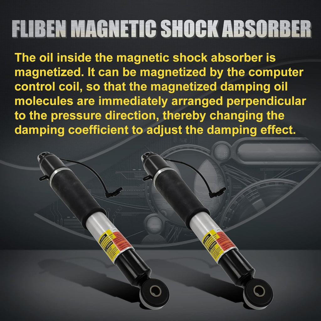 Rear Air Strut Shock Absorbers N12532