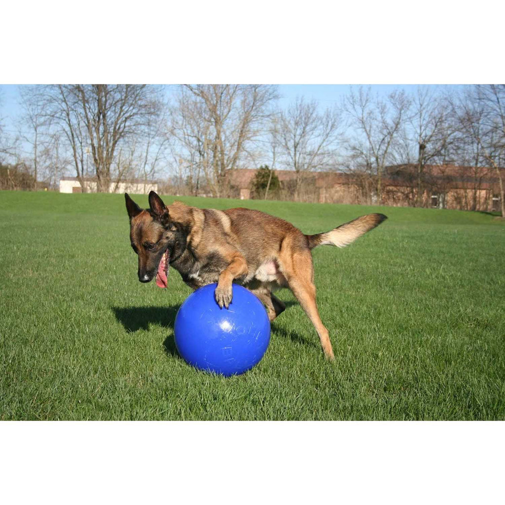 Push n Play Ball Q428
