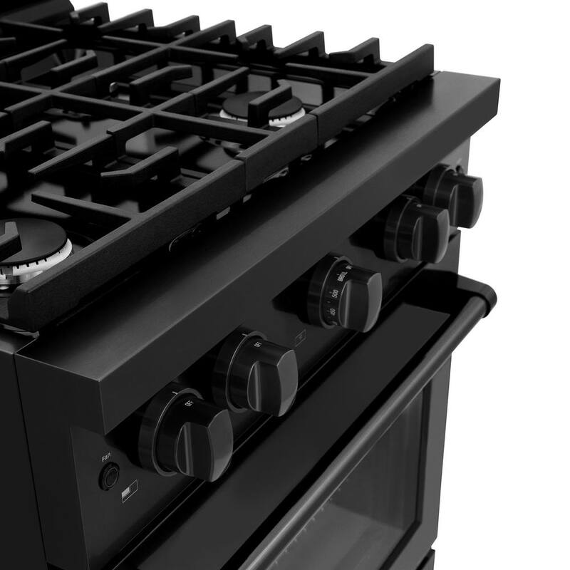 4 Burner Freestanding Gas Range & Convection Gas Oven in Black Stainless Steel X6019