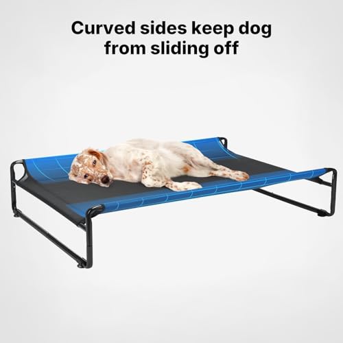 Elevated Cooling Dog Bed with Washable Mesh, Large, Black B49847