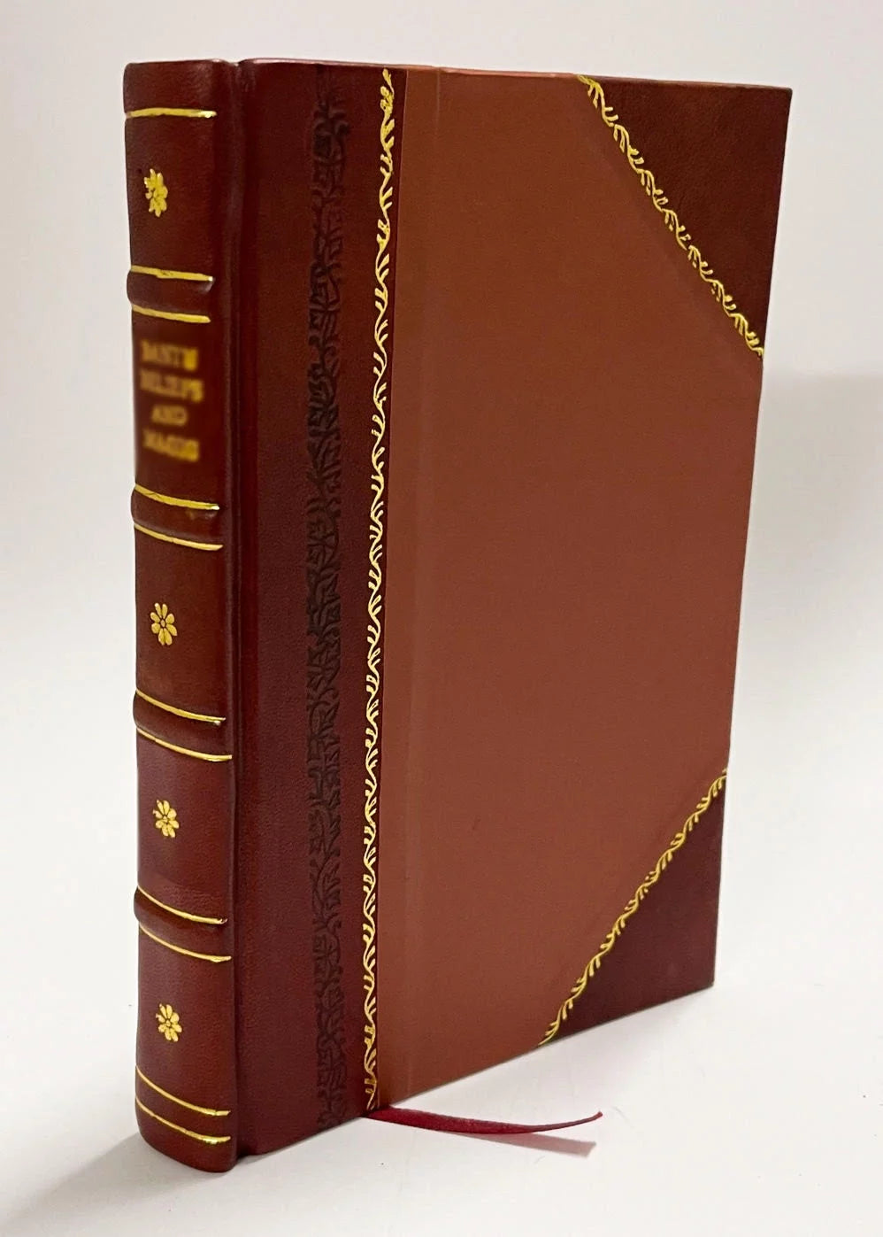Leather Bound Volume 1 P608