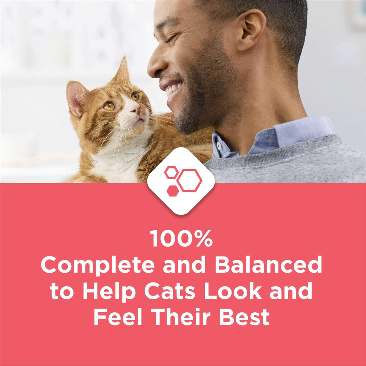 Salmon High Protein Dry Cat Food Q271