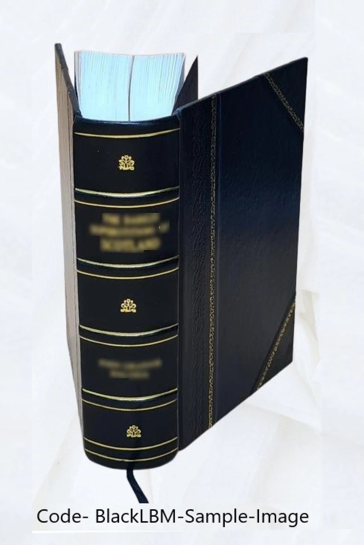 Winchester Centennial Celebration Leather Bound A926056