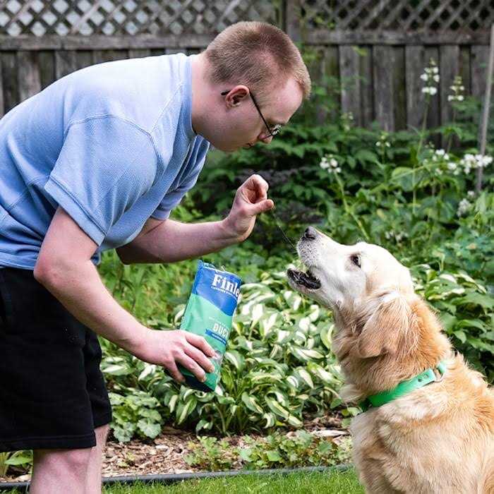 Soft Chew Dog Treats Training Bites Y33628