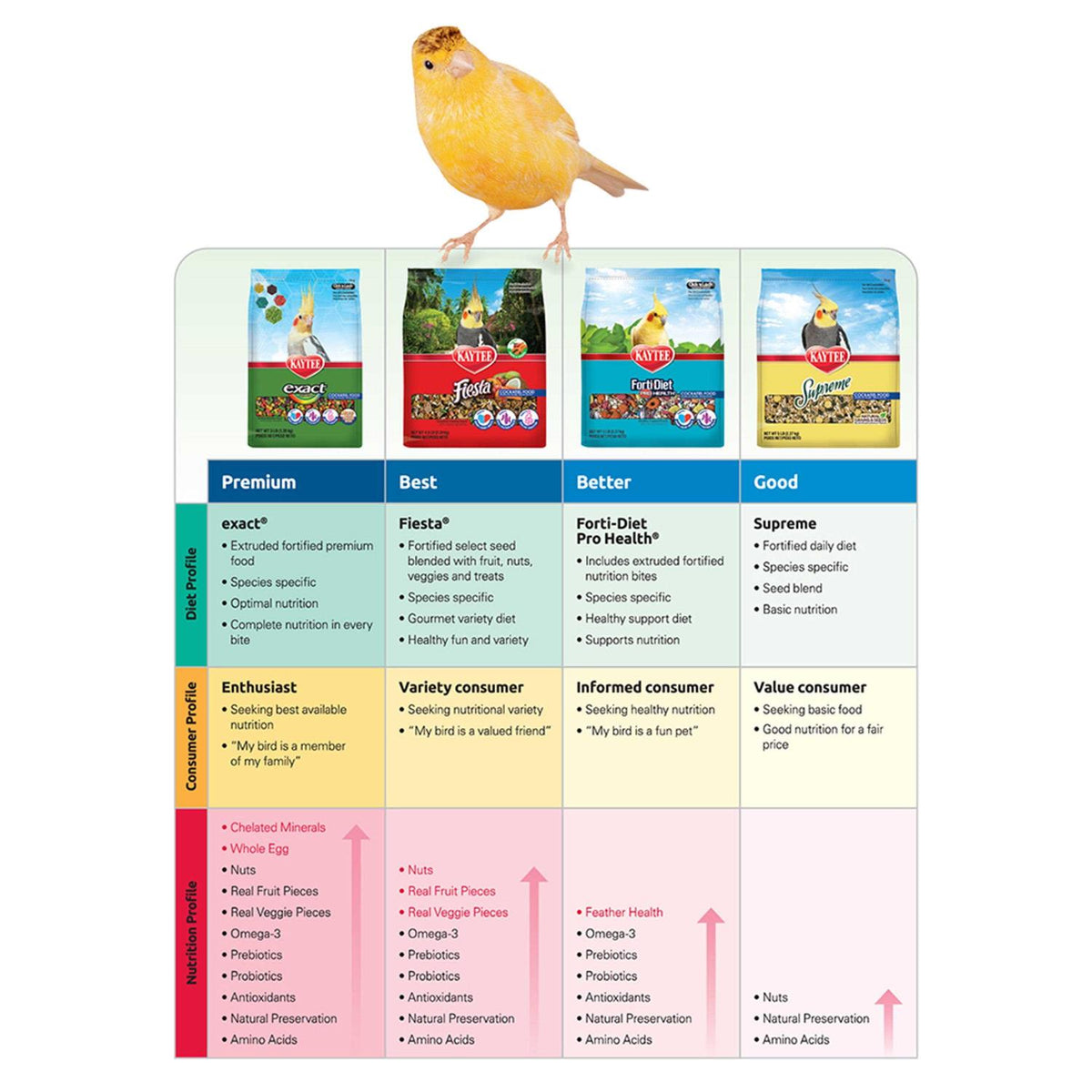 Parrot Food F97057