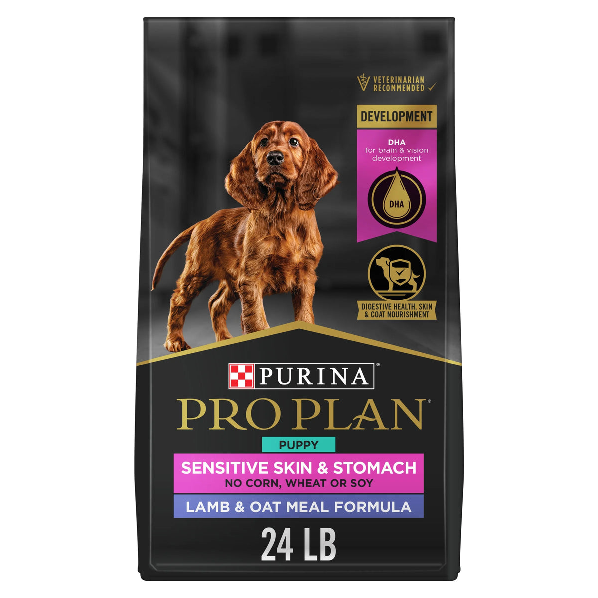Sensitive Skin and Stomach Puppy Food Lamb and Oat Meal 24 lb. Bag X44337