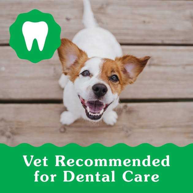 Dental Dog Treats A632