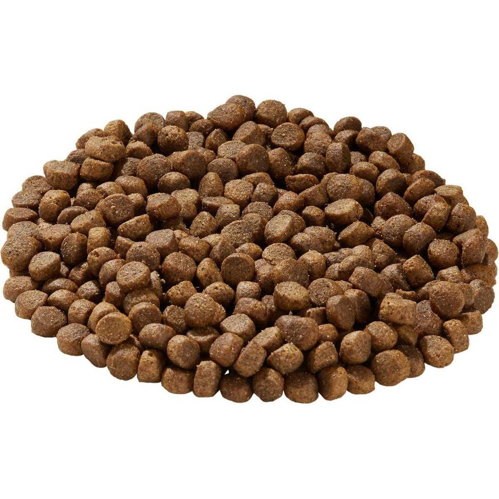 Chicken & Brown Rice Dry Dog Food D93448