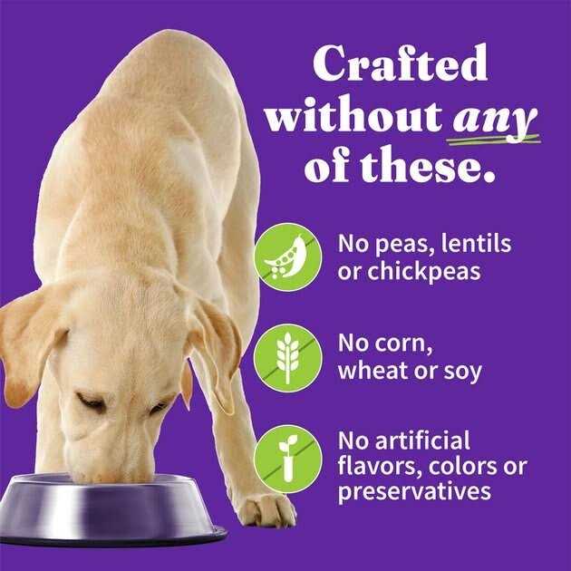 Chunky Chicken Stew B895163