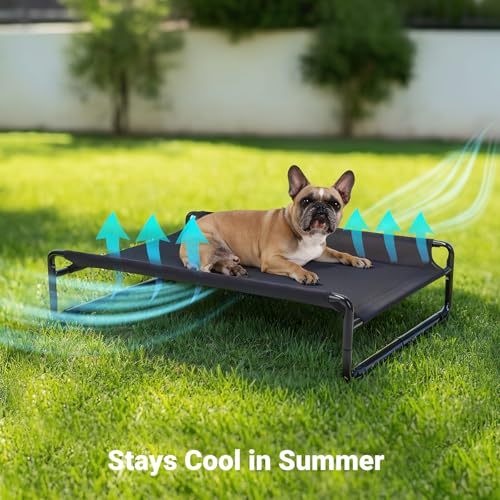 Elevated Cooling Dog Bed with Washable Mesh, Large, Black B49847