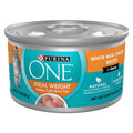 Wet Cat Food F1781