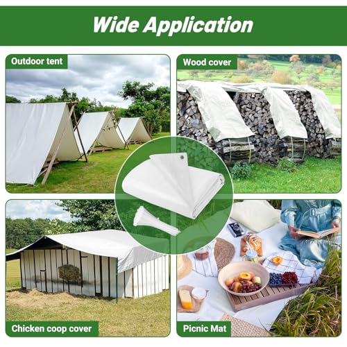 Waterproof Chicken Coop Cover B293