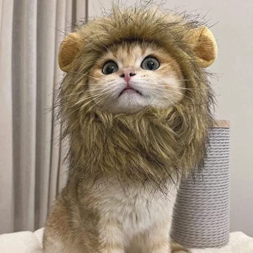 Brown Cat Wig Y3204