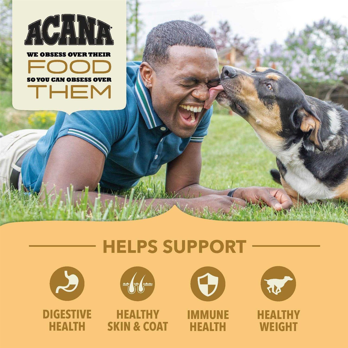 Wholesome Grains Dry Dog Food S452299