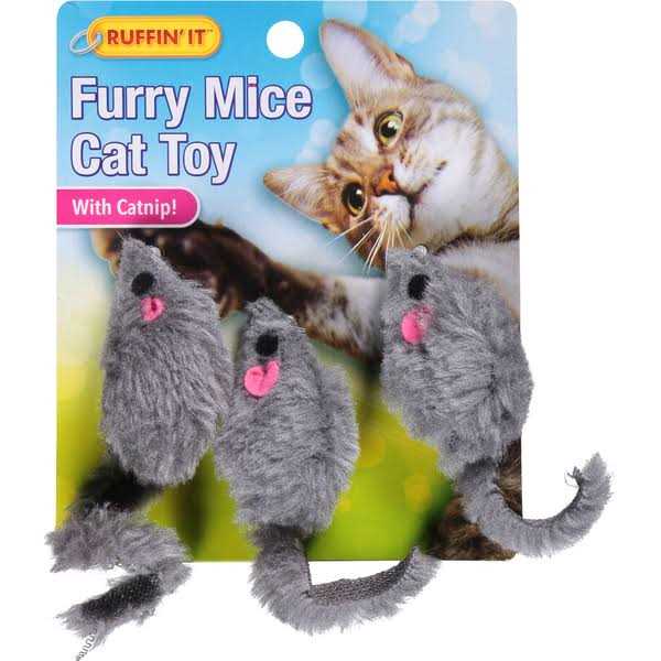 Catnip Cat Toy V427976